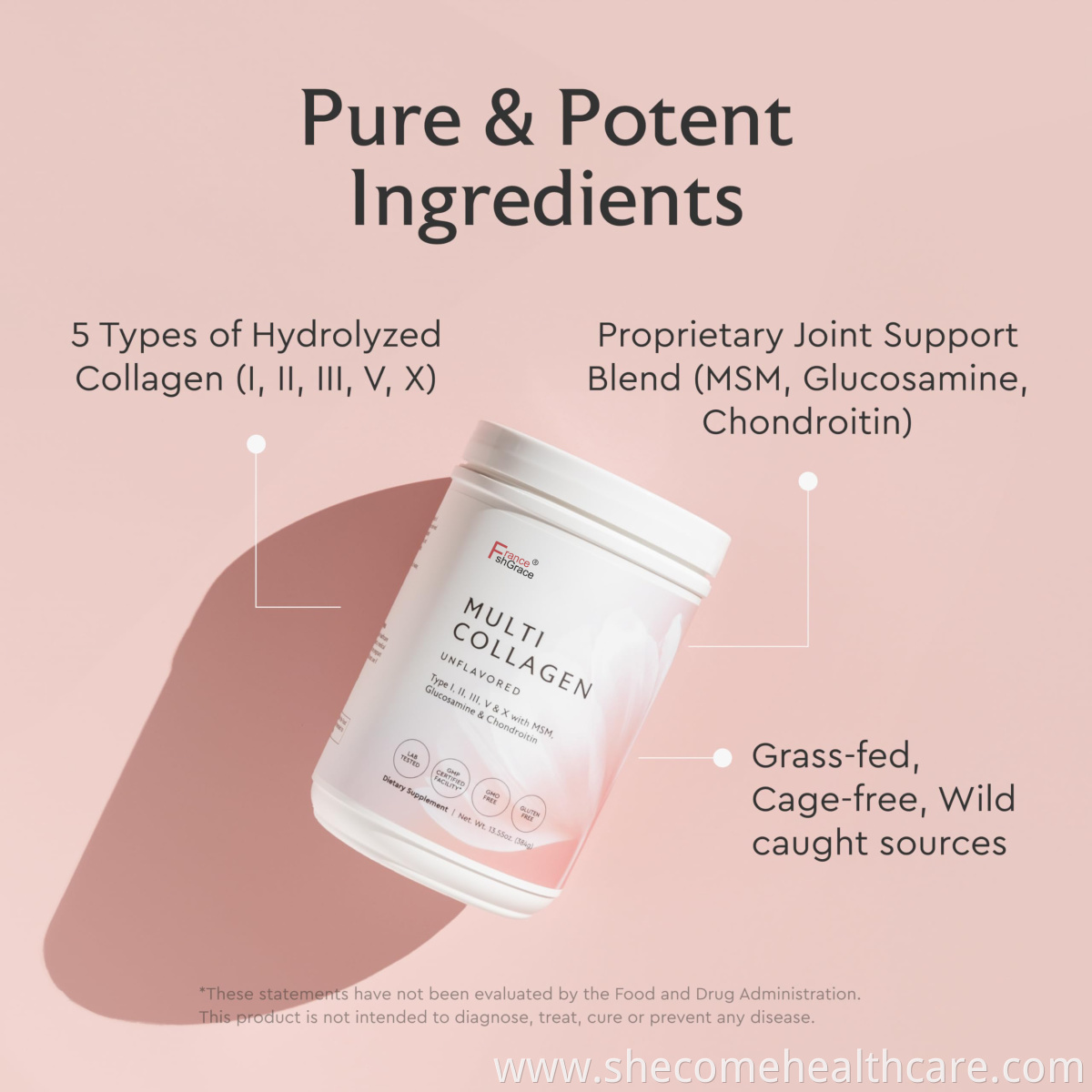 orgain protein powder